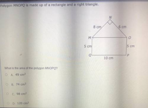 Someone pls help me with this question