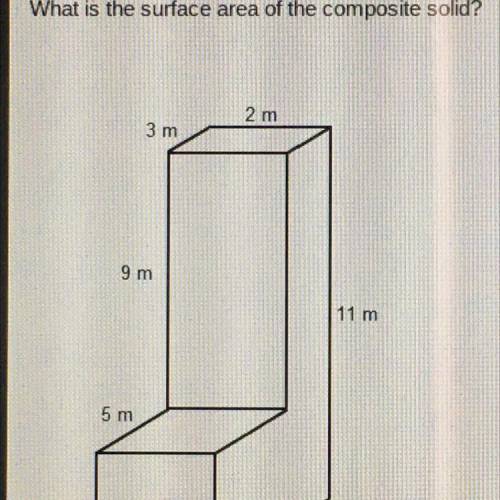 What is the surface area of the composite solid?

2 m
3 m
9 m
11 m
5 m
2 m
8 m