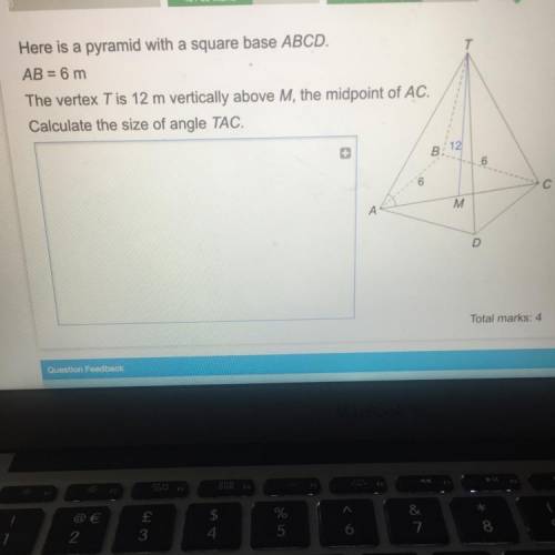 Please help with right answers xoxo