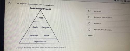 The diagram below shows an Arctic energy pyramid . As energy moves up trophic levels of the artic e