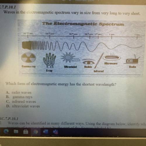 SC.7.P.10.1

1. Waves in the electromagnetic spectrum vary in size from very long to very short.
T