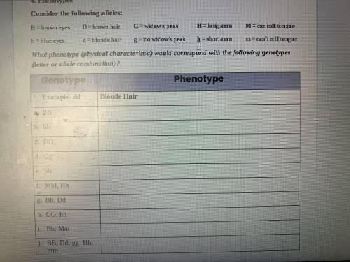 What phenotype would correspond with the following genotypes