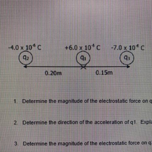 Determine the magnitude of the electrostatic force on g1.