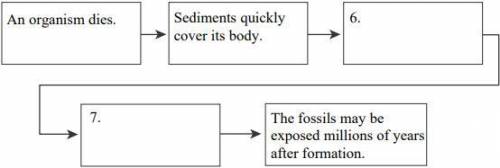 Use Figure 1.2 to fill in a sequence diagram that describes the process of
permineralization.