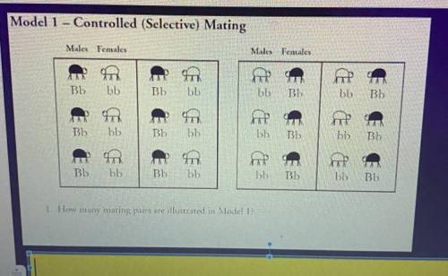 1. How many mating pairs are illustrated in Model 1: