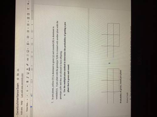 Please help with punnet squares problem! I'm not understanding what the answer is thanks