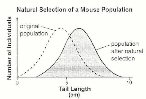 Tail length in mice varies within a population. Scientists observed change in the distribution of t
