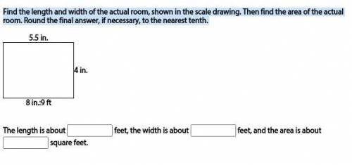 Find the length and width of the actual room, shown in the scale drawing. Then find the area of the