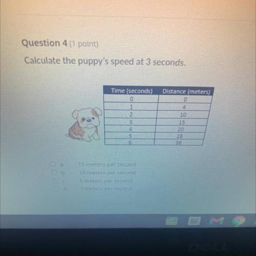 Calculate the puppy's speed at 3 seconds.

Time (seconds)
15 meters per second
10 meters per secon