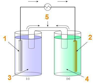 Look at the diagram of an electrochemical cell below.

Which part of the cell is the cathode?
1
2
