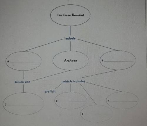 Fill in the concept map below:​