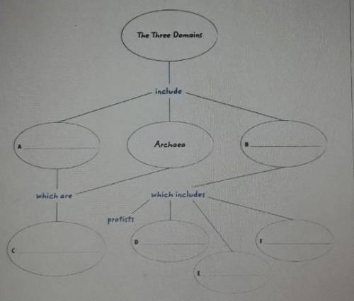 Fill in the concept map below.​