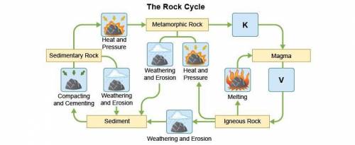 This image shows the rock cycle.

Which event most likely occurs at point V?
cooling
erosion
heati