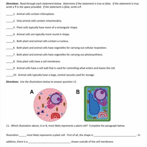 Fill out this cell worksheet