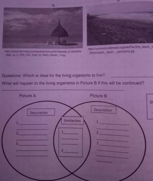 Activity 3. Venn Diagram

Now, look at the pictures? Can you compare them? Question: Which is deal