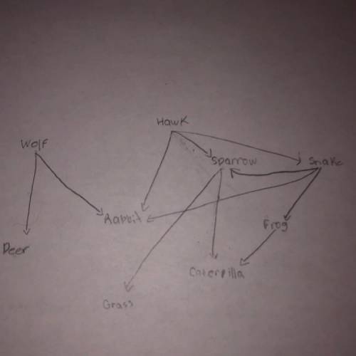 Can someone PLEASE help me!!?!

Using a food web in the picture.
-Which organism is the producer?