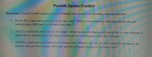 Answer the practice questions and create Punnet squares for them​