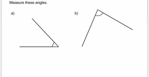 Hey can someone help me measure these angles