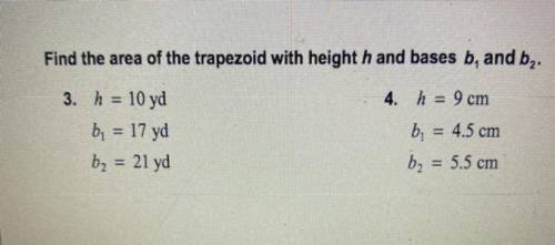 Can someone please tell me the answers
