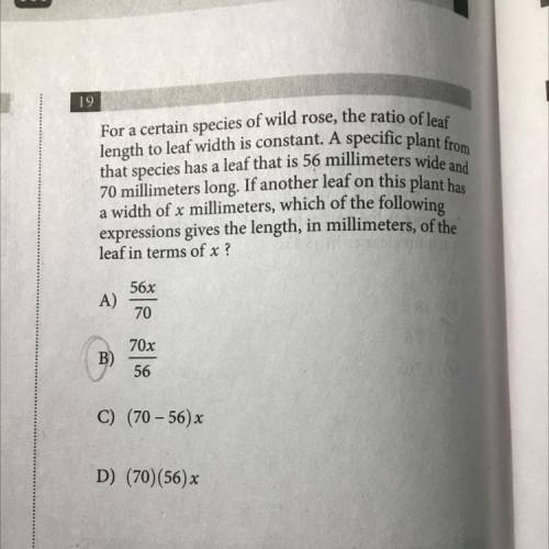 Explain me how to get the answer plssss