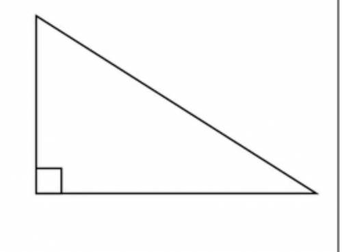 What type of triangle is this ?
