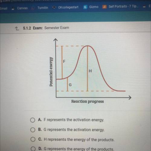 This graph shows the energy of a reaction over time. Which statement is
true?