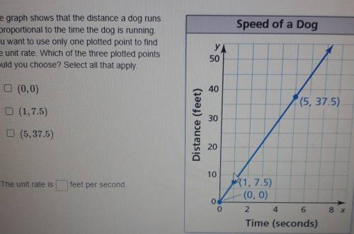 The graph shows that the distance a dog runs is proportional to the time the dog is running You wan