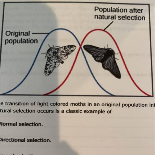 Pacyber.Ims.linc

Population after
natural selection
Original
population
21.
The transition of lig