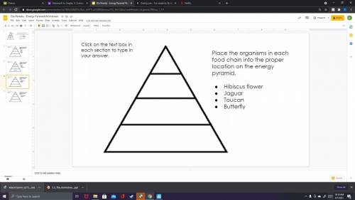 Energy Pyramid pls help me