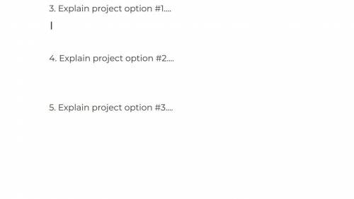Explain the project options please
