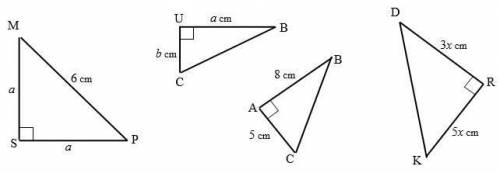 Please find the area of the triangles! Please!