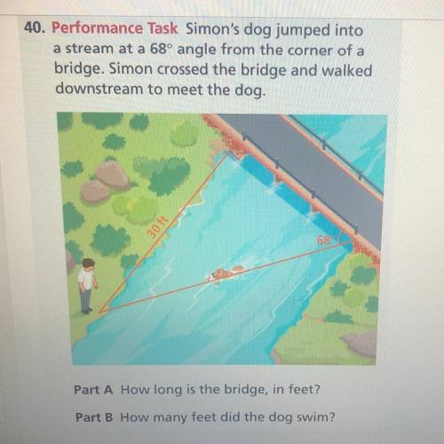 Performance Task Simon's dog jumped into

a stream at a 68° angle from the corner of a
bridge. Sim