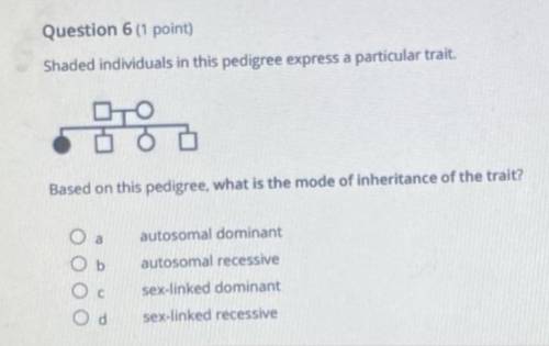 Can someone help me with this question? 
Please:)