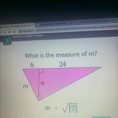 PLEASE HELP ASAP
What is the measure of m?