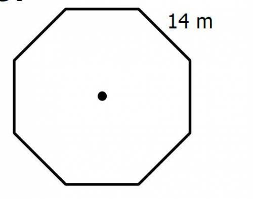 The area of the octagon is how many meters squared?
Show your work.