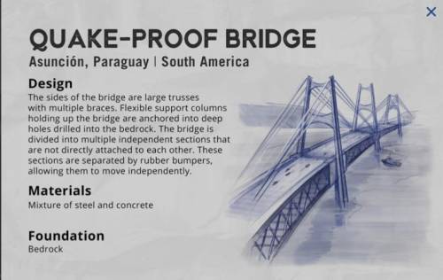 I despretly need ths. please answer it its worth 25 points

Do you think the plan for the bridge i