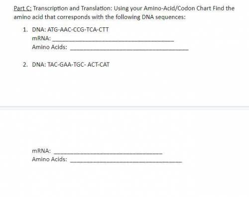 Transcription and Translation: Using your Amino-Acid/Codon Chart Find the amino acid that correspon