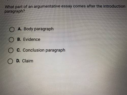 What part of an argumentative essay comes after the introduction paragraph?