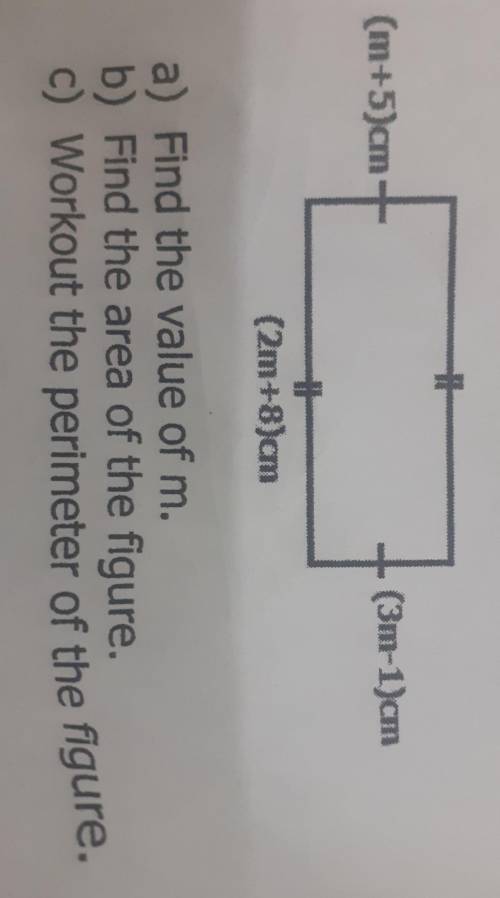 If you love your god plz plz help me with this question​