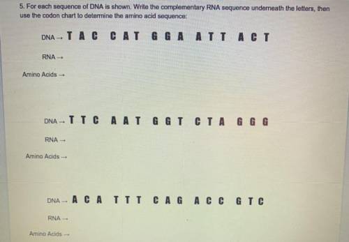 PLS HELP......DNA, RNA, condon chart