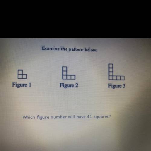 Which figure will have 41 squares ?? 
FREE POINTS!!