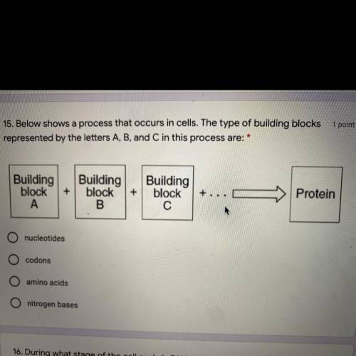 Below shows a process that occurs in cells. The type of building blocks represented by the letters