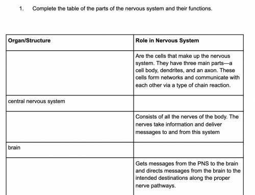 Complete the table of the parts of the nervous system and their functions.