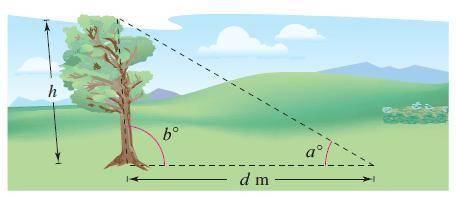 Because of prevailing winds, a tree grew so that it was leaning 6° from the vertical. At a point d
