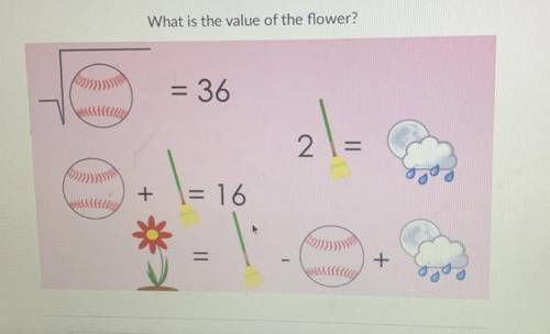What is the value of the flowers?