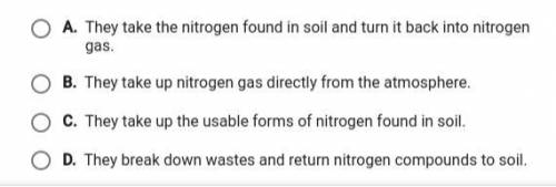 Which role do plants play in the nitrogen cycle?