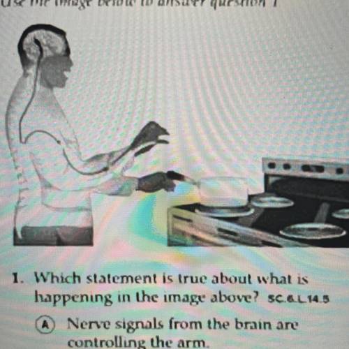 Please help. Will mark brainliest!

Which statement is true about what is happening on the image a