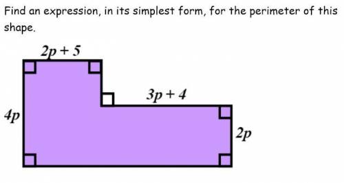 Find an expression in its simplest form for the perimeter of this shape