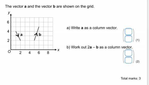 The vector a and the vector b are shown on the grid write a as a column vector

NEED ASAP WILL MAR