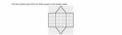Find the surface area of the net. Each square is one square meter. Help please!!